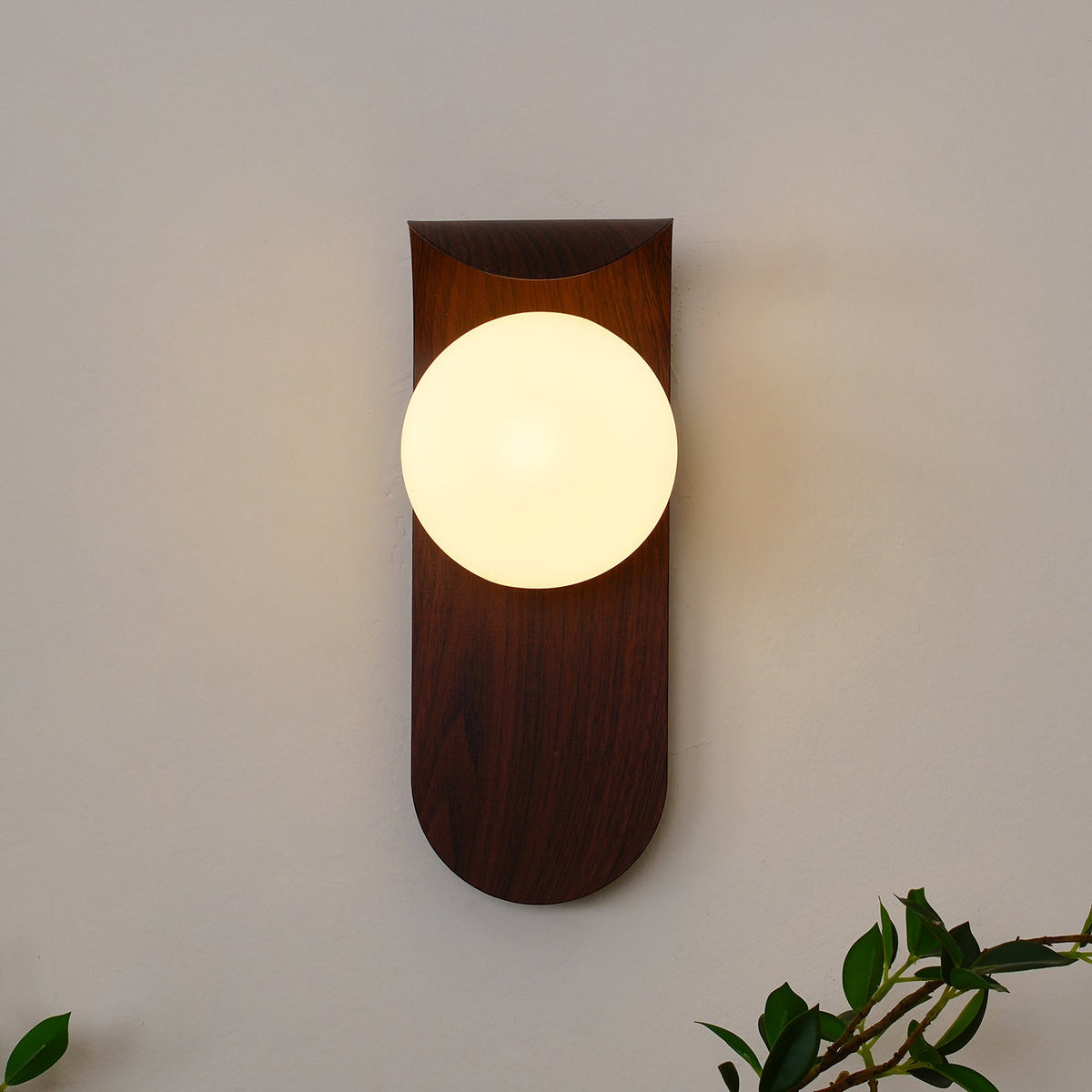 Exuro Applique Murale Intérieure en Bois / Noyer