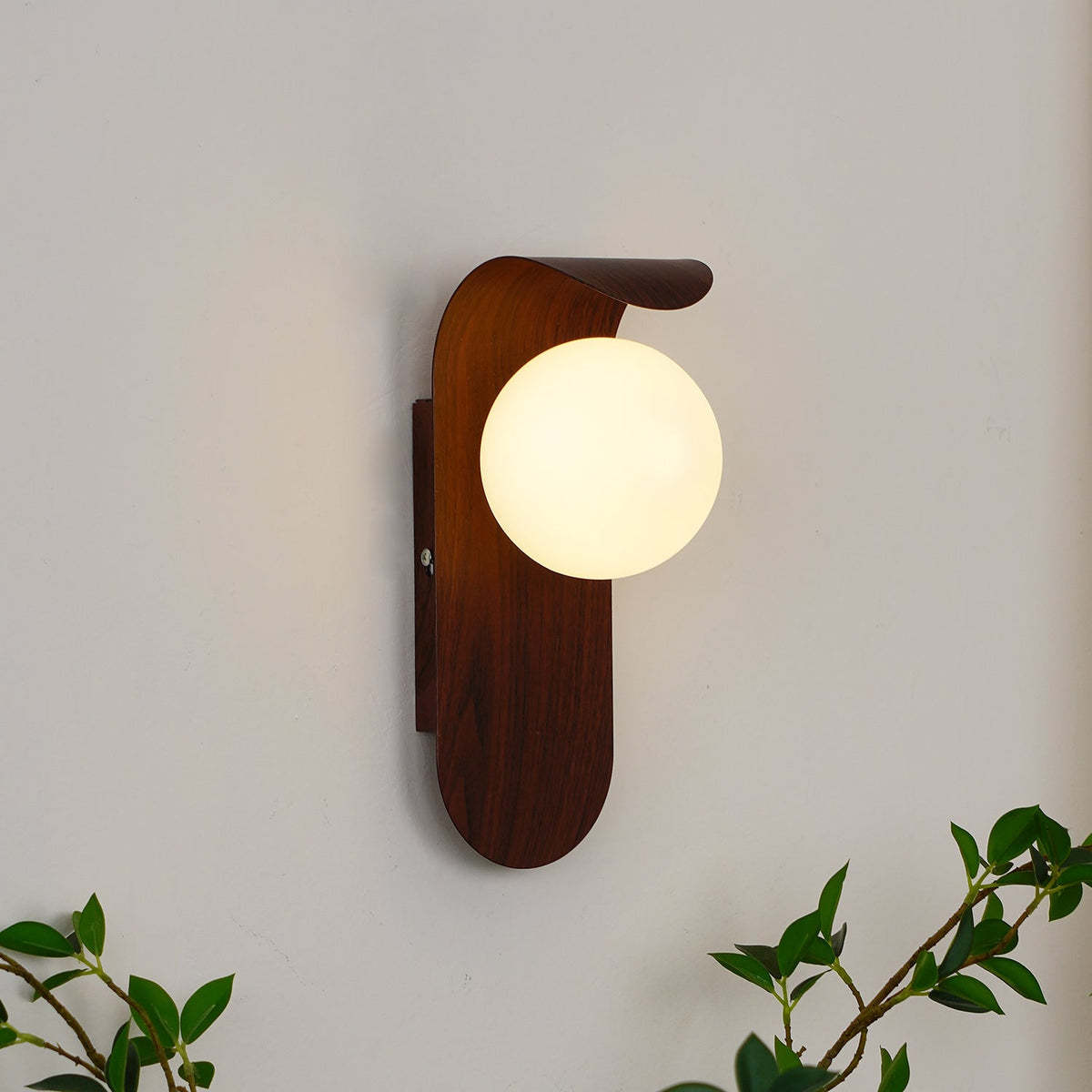 Exuro Applique Murale Intérieure en Bois / Noyer